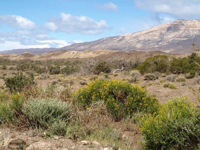 ../../Pictures/231209/046 nach Lago Posadas.JPG